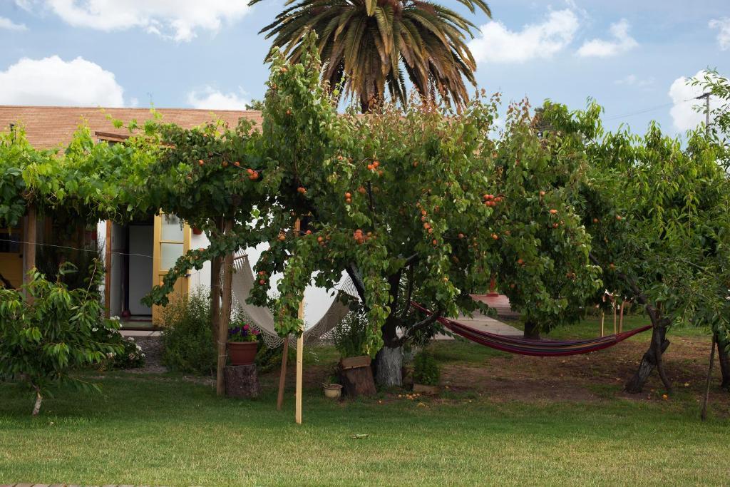 Casa Pando Bed & Breakfast Santa Cruz Bagian luar foto