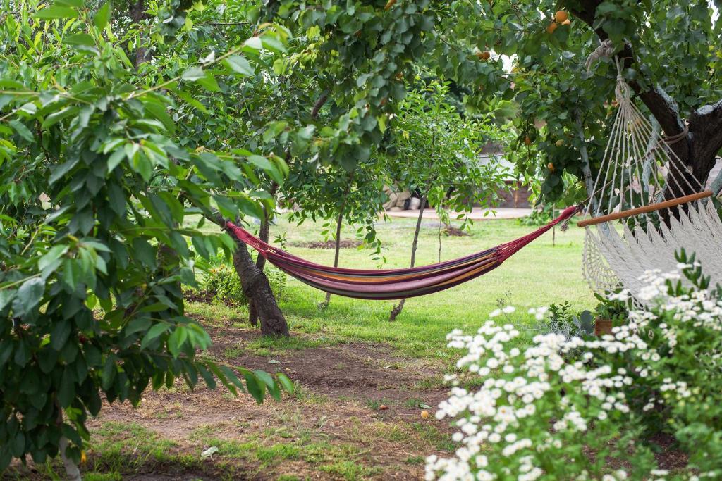 Casa Pando Bed & Breakfast Santa Cruz Ruang foto